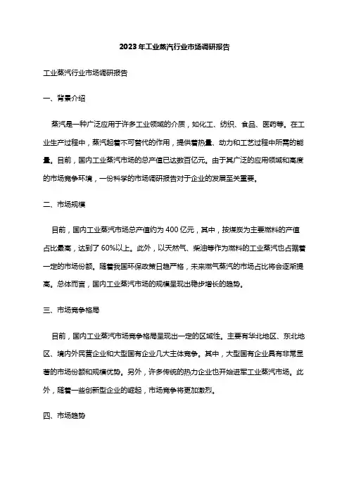 2023年工业蒸汽行业市场调研报告