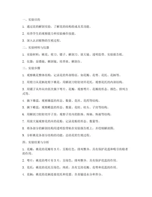 花的解剖实验报告