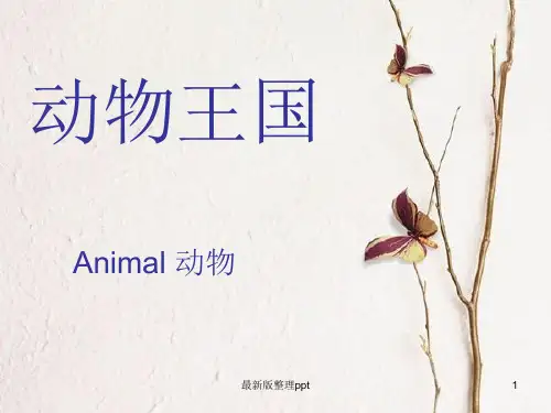 英语---动物ppt课件