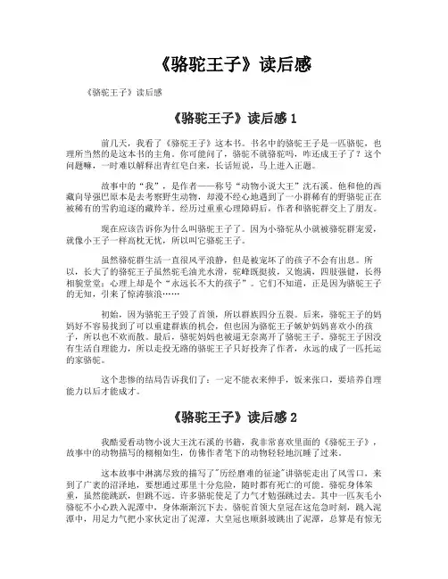 《骆驼王子》读后感