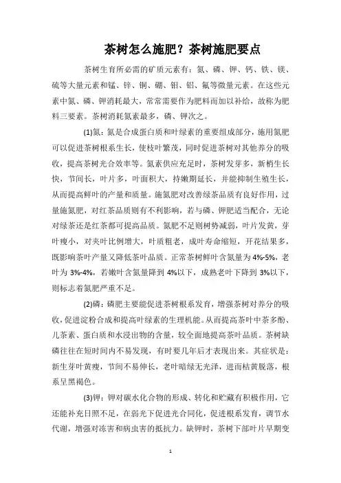 茶树怎么施肥？茶树施肥要点