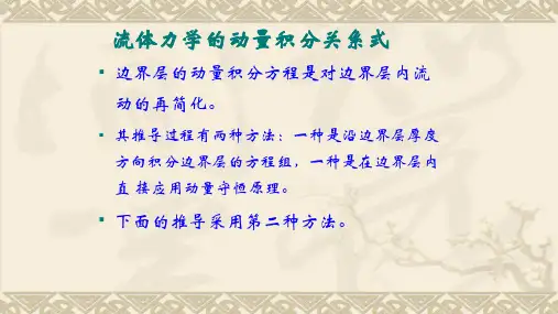 高二物理竞赛课件：流体力学的动量积分关系式