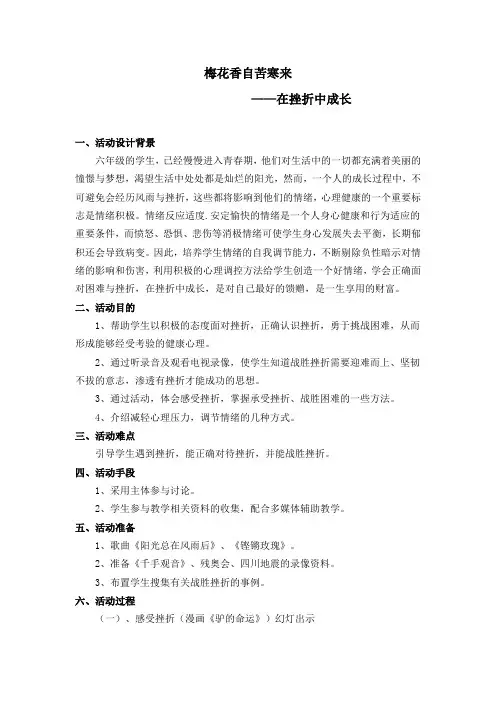 梅花香自苦寒来
