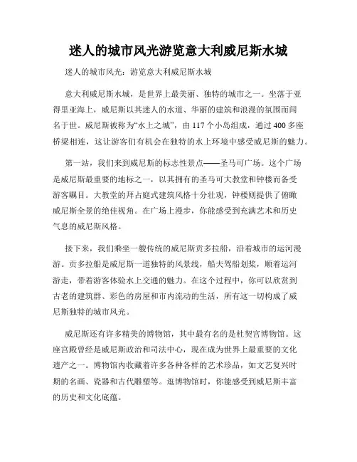 迷人的城市风光游览意大利威尼斯水城