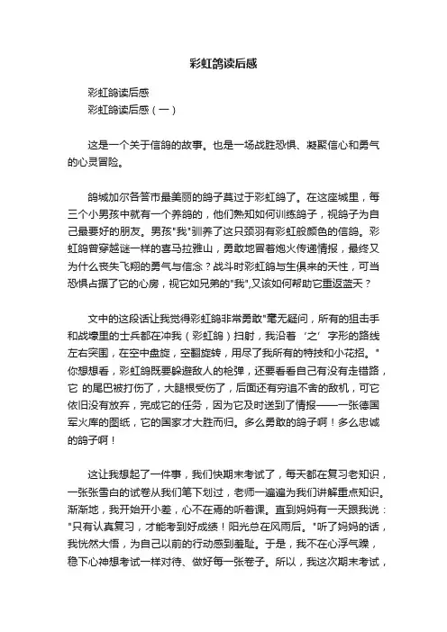 彩虹鸽读后感