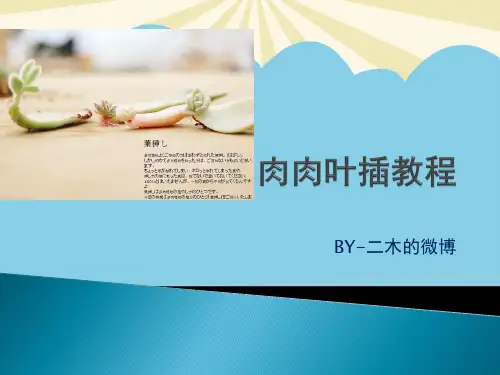 【优】肉肉叶插方法最全PPT资料