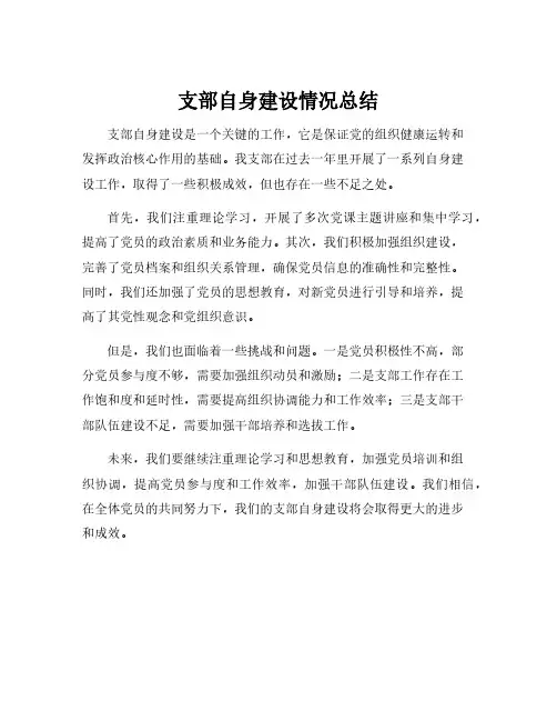 支部自身建设情况总结