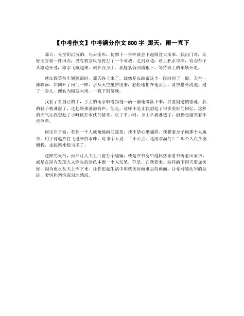 【中考作文】中考满分作文800字 那天,雨一直下