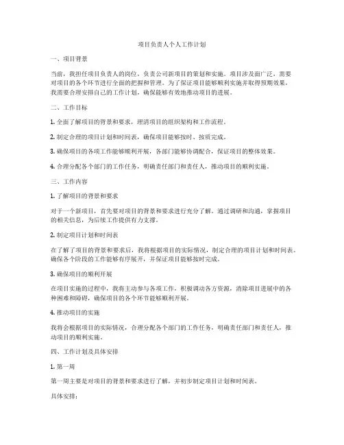 项目负责人个人工作计划