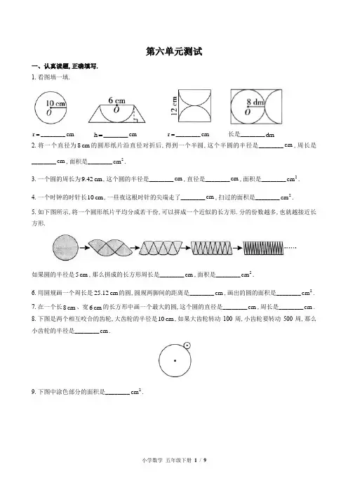 (苏教版)小学数学五年级下册 第六单元测试(含答案)