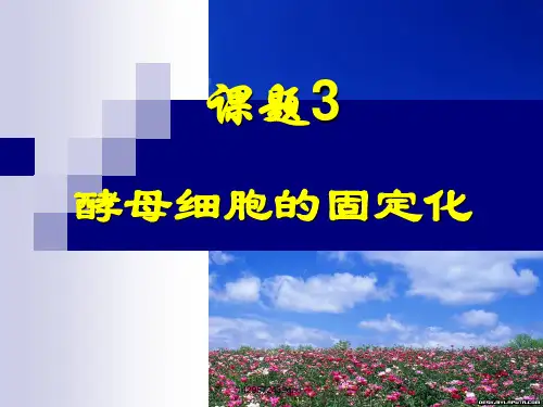 酵母细胞的固定化【19页】