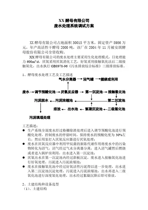 酵母有限公司废水处理调试报告