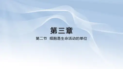 北师大版生物七年级上册3.1 细胞是生命活动的单位课件(共16张PPT)