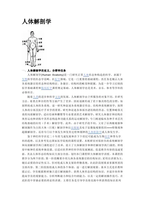 人体解剖学