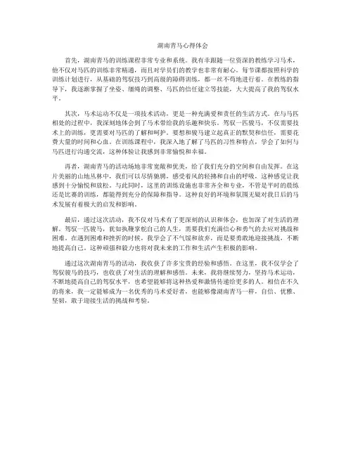 湖南青马心得体会