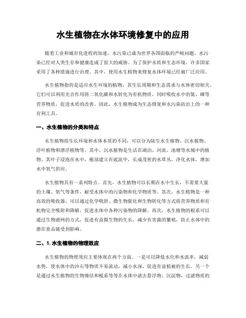 水生植物在水体环境修复中的应用