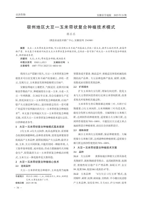 宿州地区大豆—玉米带状复合种植技术模式