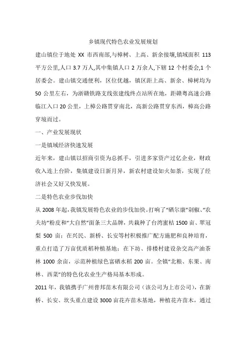 乡镇现代特色农业发展规划