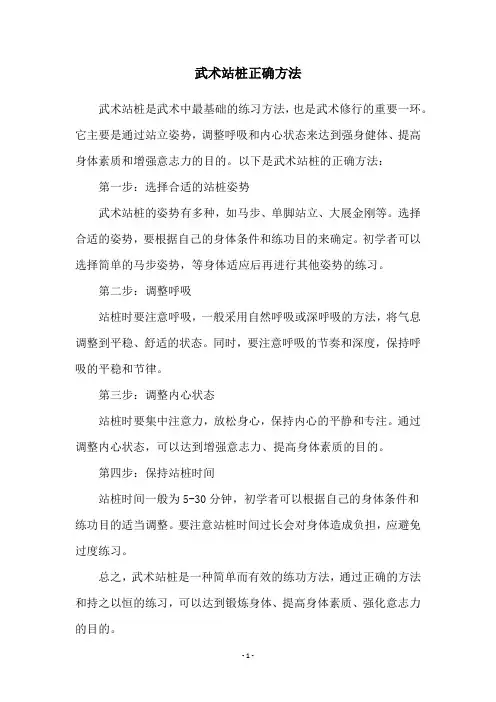 武术站桩正确方法