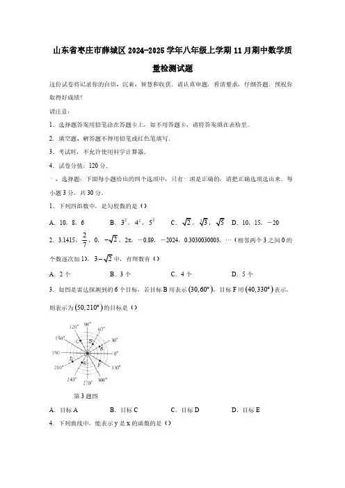 山东省枣庄市薛城区2024-2025学年八年级上学期11月期中数学质量检测试题(含答案)
