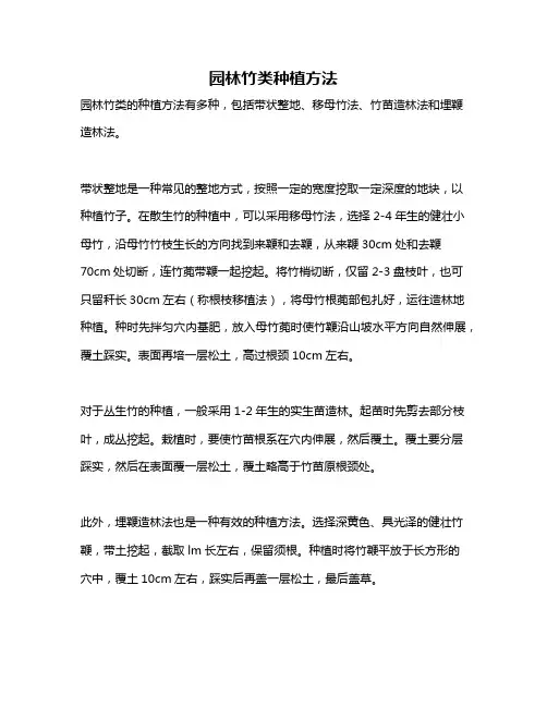 园林竹类种植方法