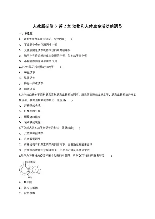 人教版必修3  第2章 动物和人体生命活动的调节(包含答案)