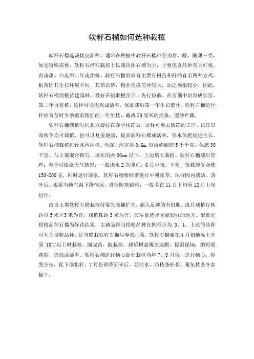 软籽石榴如何选种栽植