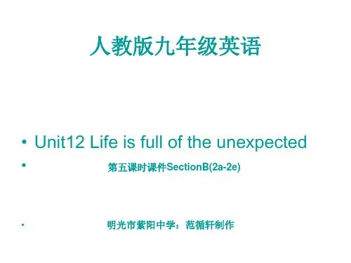 人教版九年级英语Unit12 Life is full of the unexpected_第五课时课件SectionB(2a-2e)课件