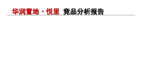竞品分析报告