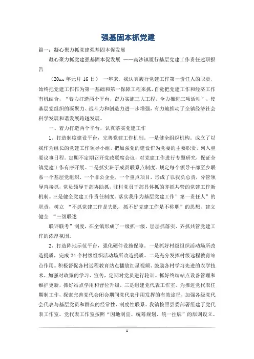 强基固本抓党建