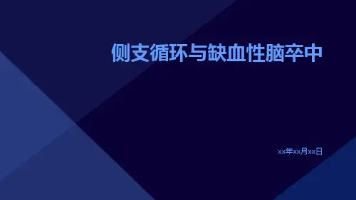 侧支循环与缺血性脑卒中