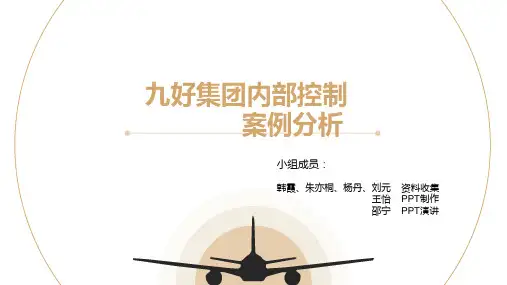 第一组：九好集团内部控制案例分析[33页]