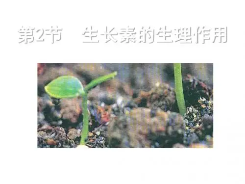 生长素的生理作用ppt18