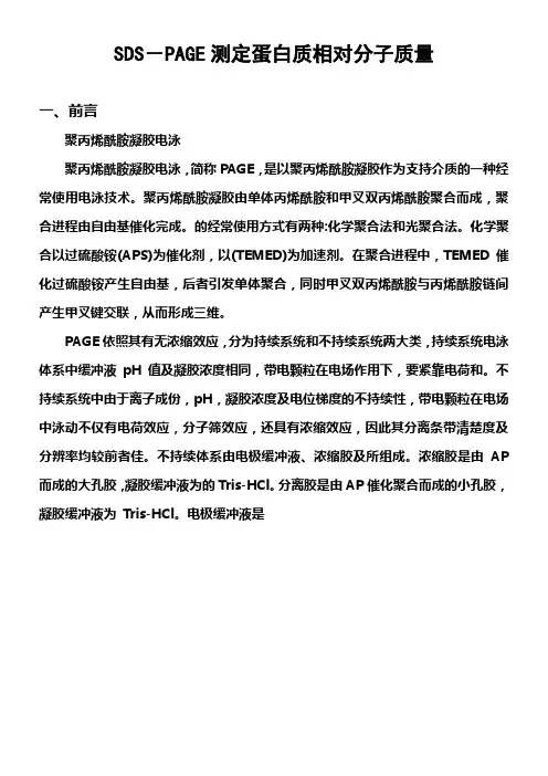 SDSPAGE测定蛋白质相对分子质量实验报告