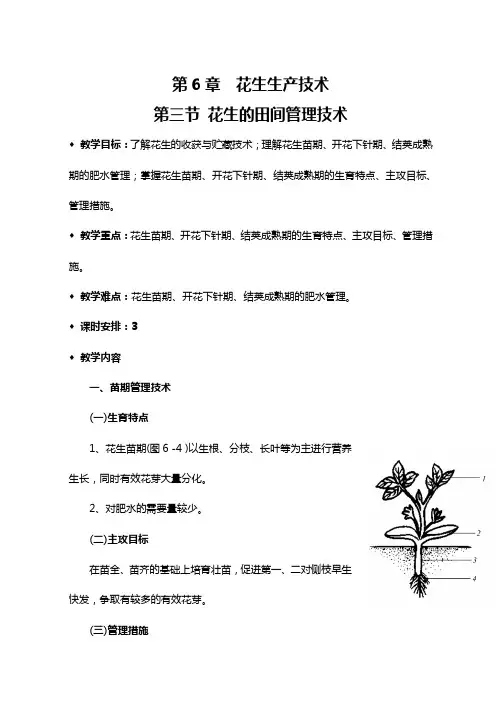 第6章  花生生产技术 第三节花生的田间管理技术