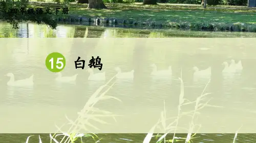 部编版四年级语文上册第15课 白鹅含同步练习题