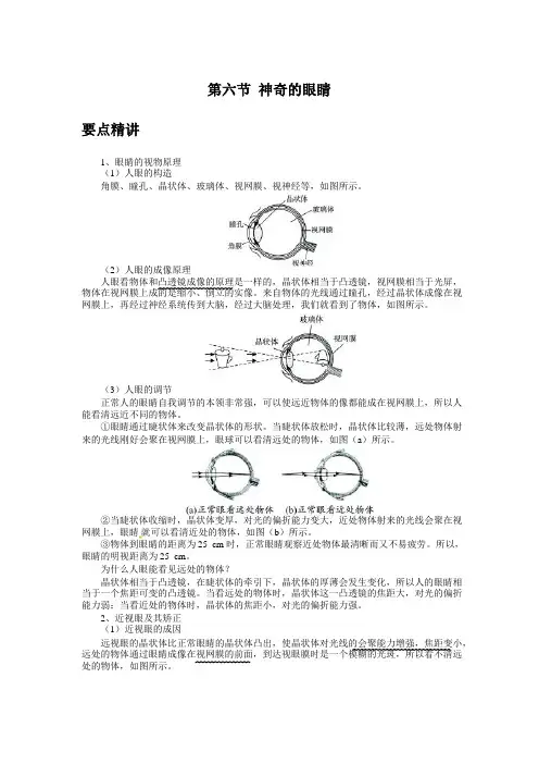 初中物理备课参考 神奇的眼睛 (2)