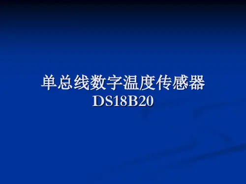 DS使用教程优秀课件