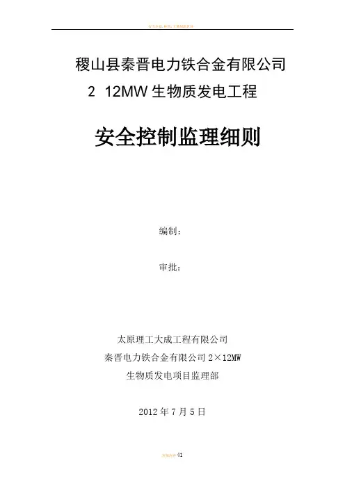 安全控制监理细则