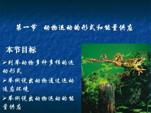 6.17.1动物的运动形式与能量供应 课件2(苏教版八年级上册)