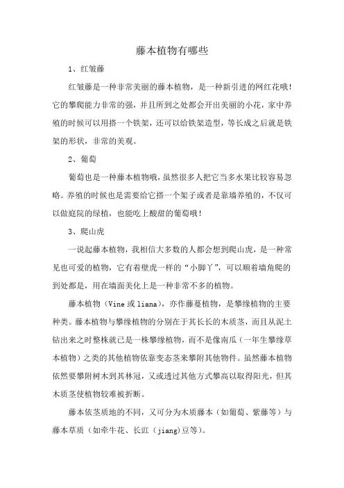 藤本植物有哪些