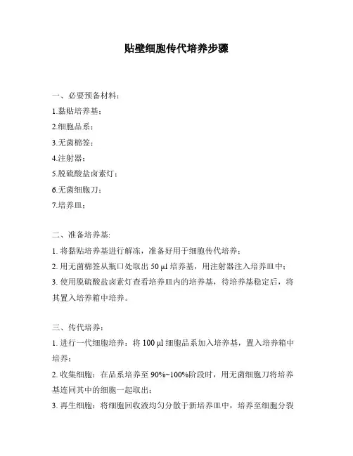 贴壁细胞传代培养步骤