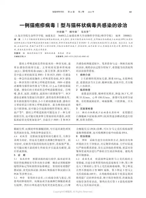 一例猫疱疹病毒Ⅰ型与猫杯状病毒共感染的诊治