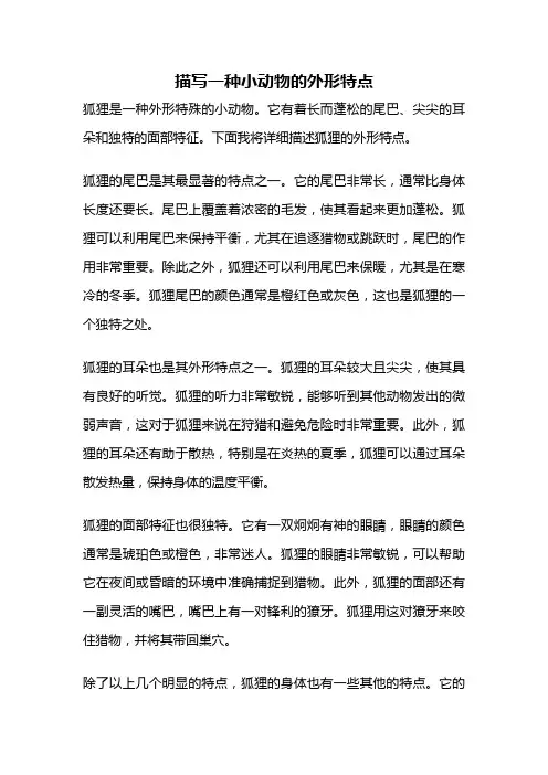 描写一种小动物的外形特点