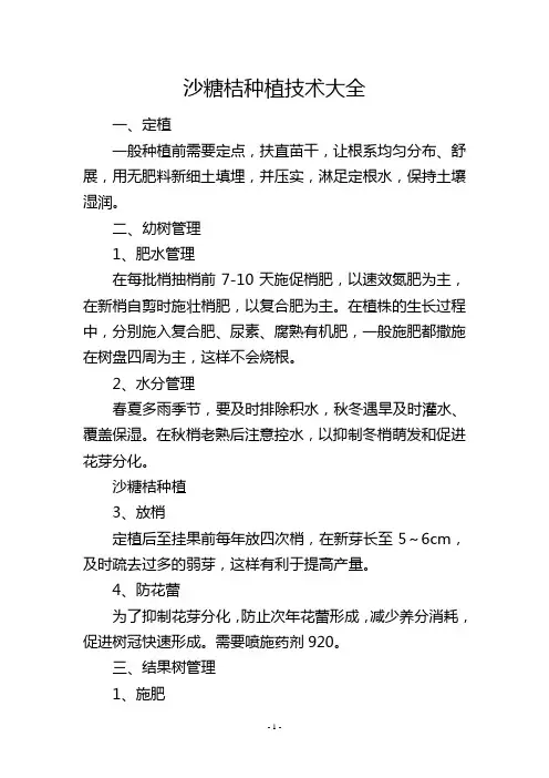 沙糖桔种植技术大全