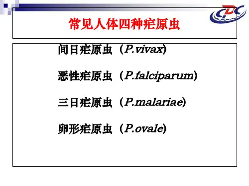 疟原虫镜检技术(2012)_PPT课件