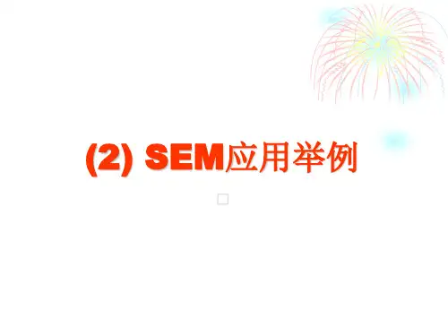 SEM(2)