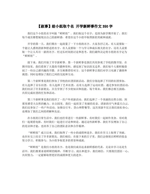 【叙事】给小组取个名 开学新鲜事作文350字