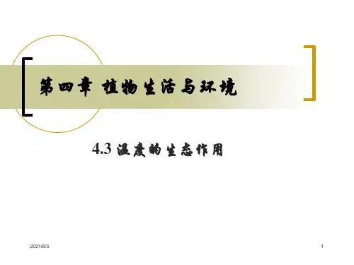 植物与温度的关系PPT优秀课件