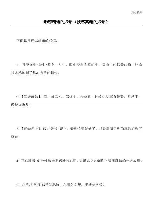 形容精通的成语(技艺高超的成语)